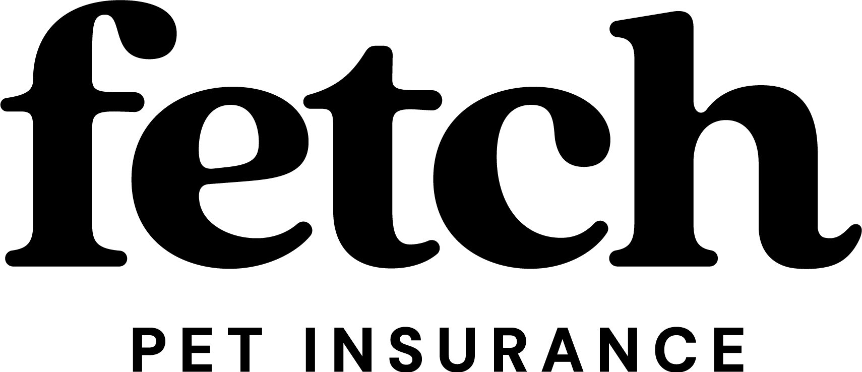 Fetch Pet Insurance - Money SEO