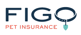 Figo Pet Insurance - Money SEO
