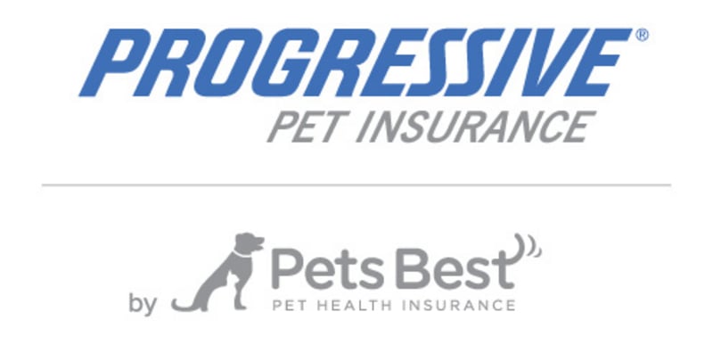 Progressive Pet Insurance - Money SEO