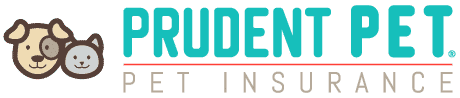 Prudent Pet Pet Insurance - Money SEO