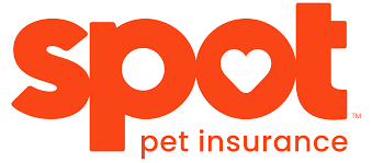 Spot Pet Insurance - Money SEO