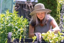 Garden, Gardening, Nature