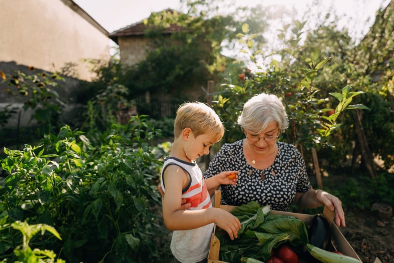 Estate Planning: What to Do Now to Make Things Easier Later