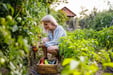 Garden, Nature, Outdoors