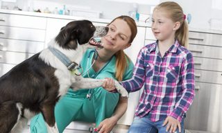Your Guide To Paying For Veterinary School