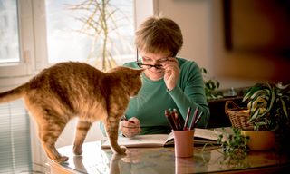 What Is Medicare Part C?