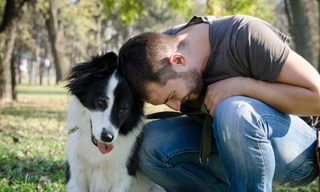 Why You Need Pet Liability Insurance