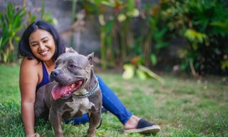 What Pit Bull Owners Need to Know About Home and Renters Insurance