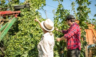 Farm Loans: Best Options and How to Get One