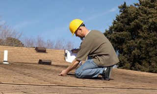 Does Home Insurance Cover Termite Damage?