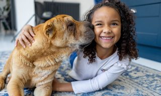 Does Pet Insurance Cover Spaying or Neutering?