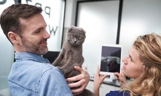 Survey: Nearly One-Fourth of U.S. Pet Owners Insure Their Pets