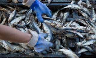 Supreme Court Decision Upends U.S. Regulatory System
