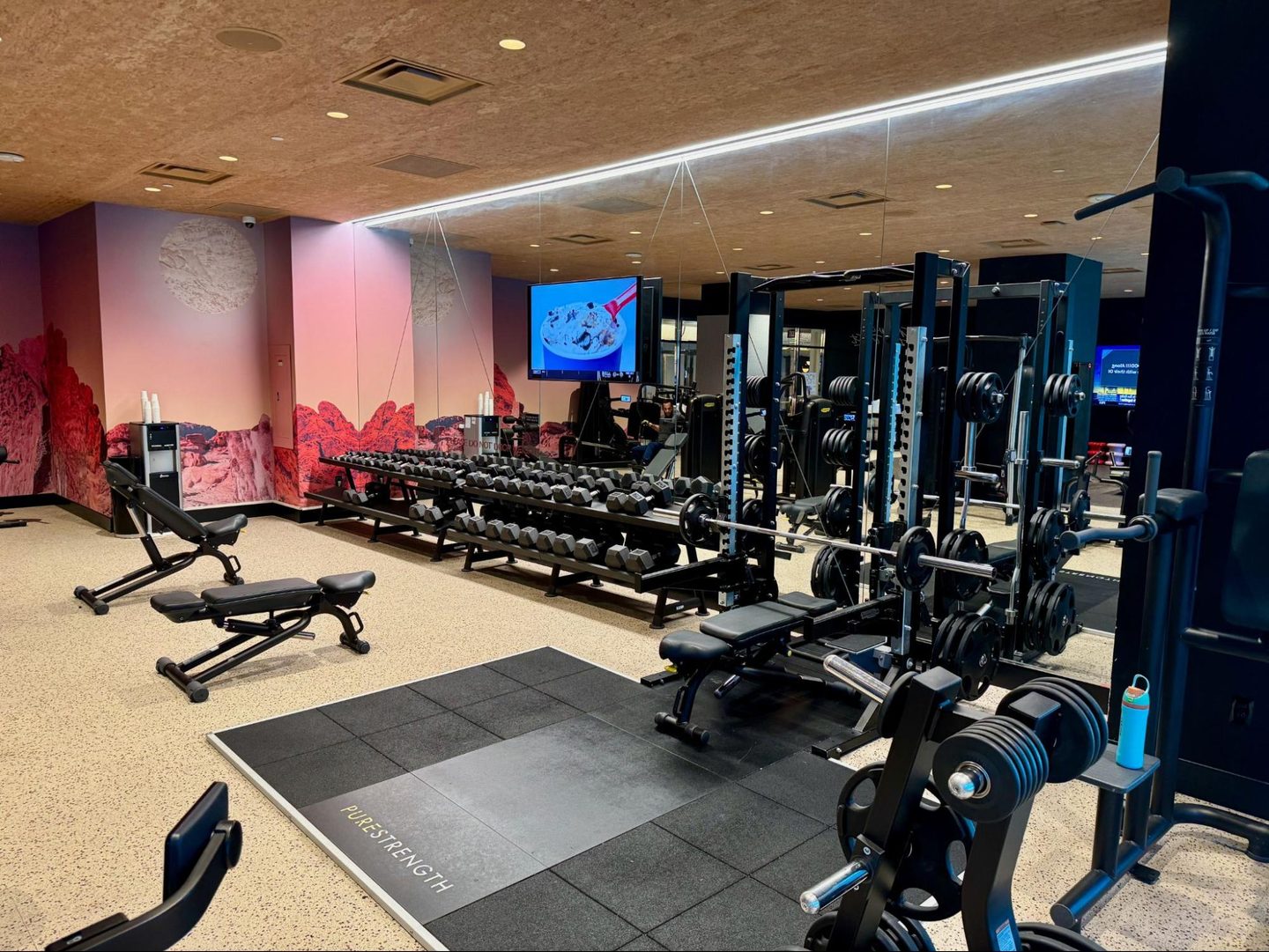 Fitness, Sport, Working Out