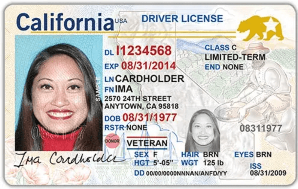 Text, Document, Id Cards