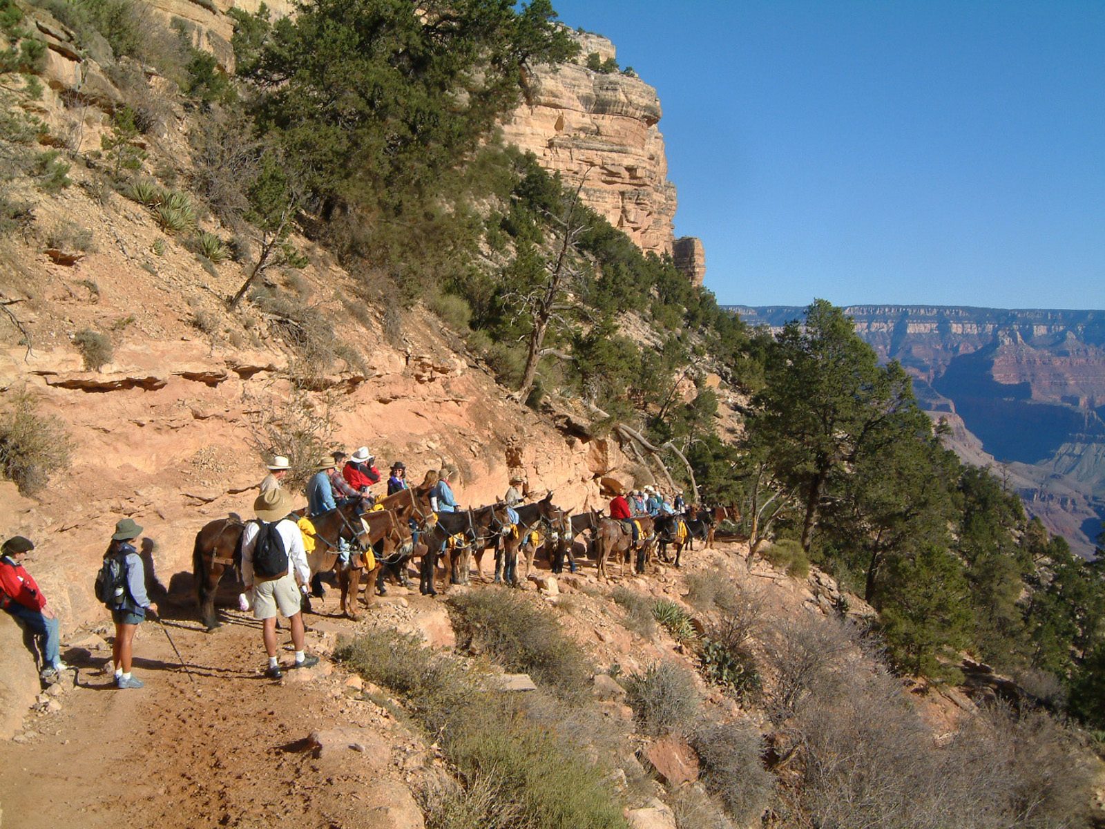 Adventure, Hiking, Leisure Activities