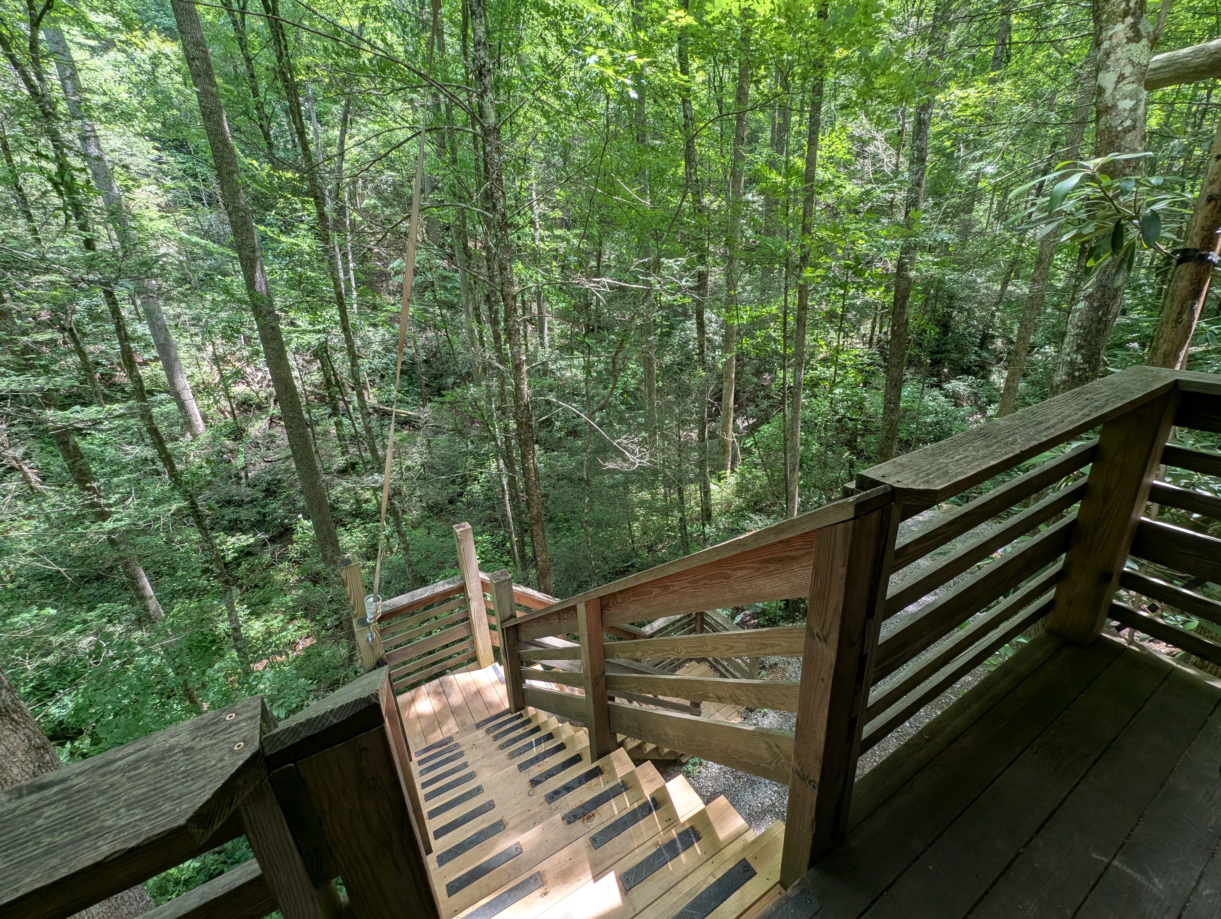 Wood, Boardwalk, Bridge