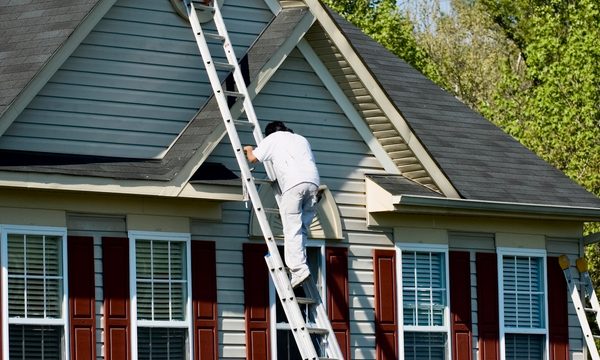 Painter climbing ladder by house