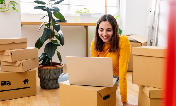 Box, Plant, Computer
