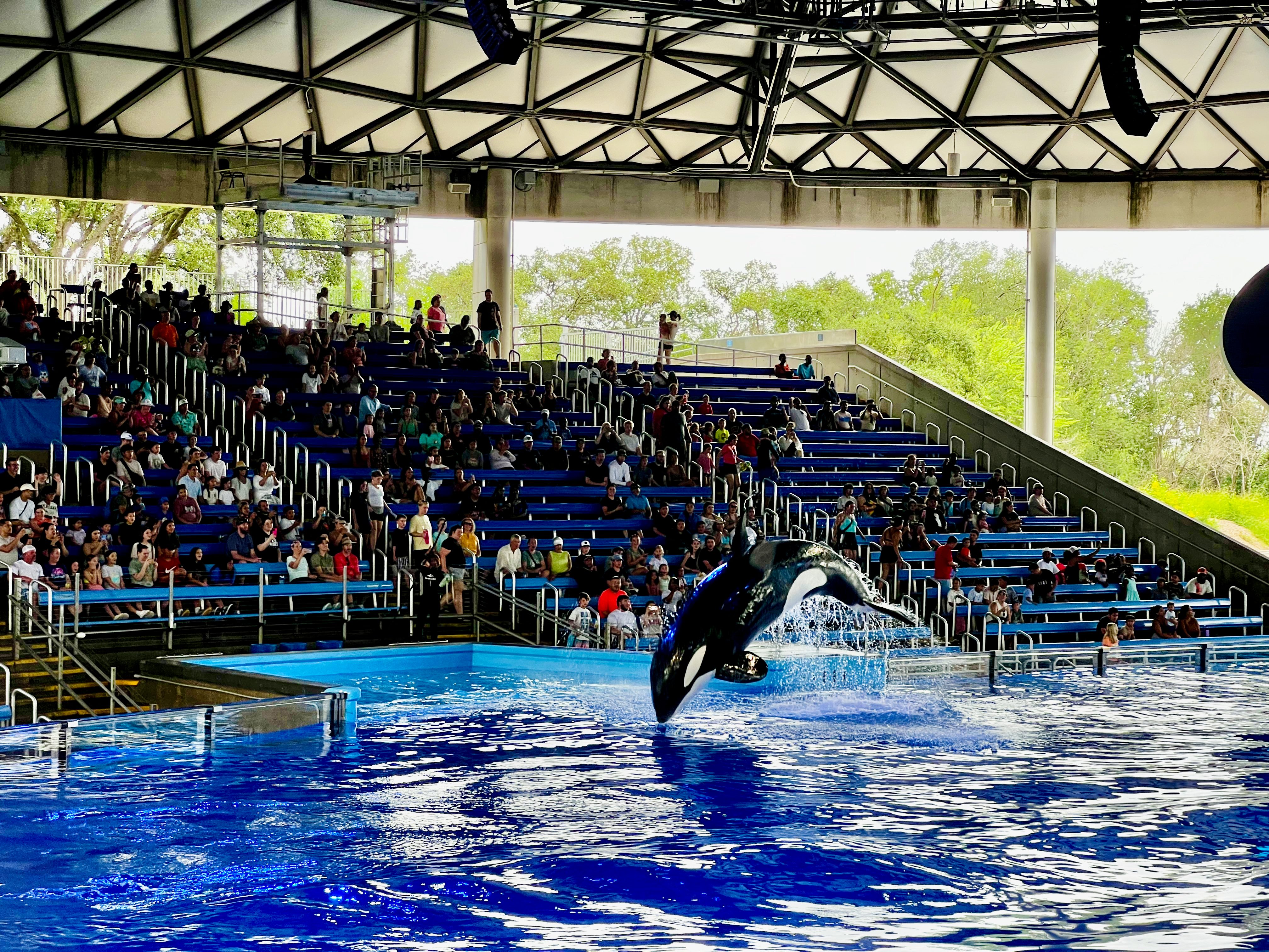 Person, Animal, Sea Life