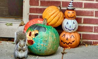Weekly Mortgage Rates Drop on Squirrelly Jobs Data