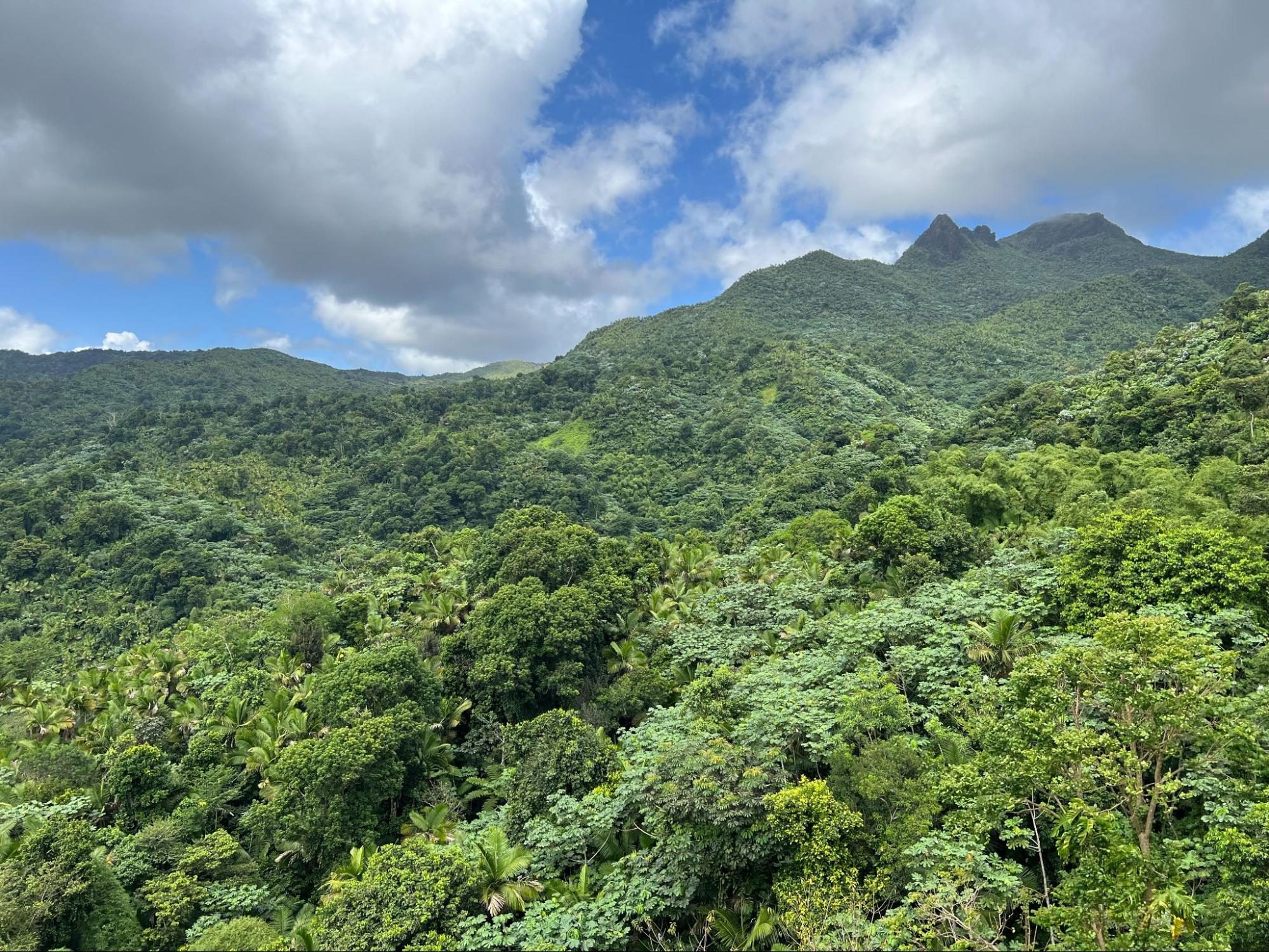 Land, Nature, Outdoors