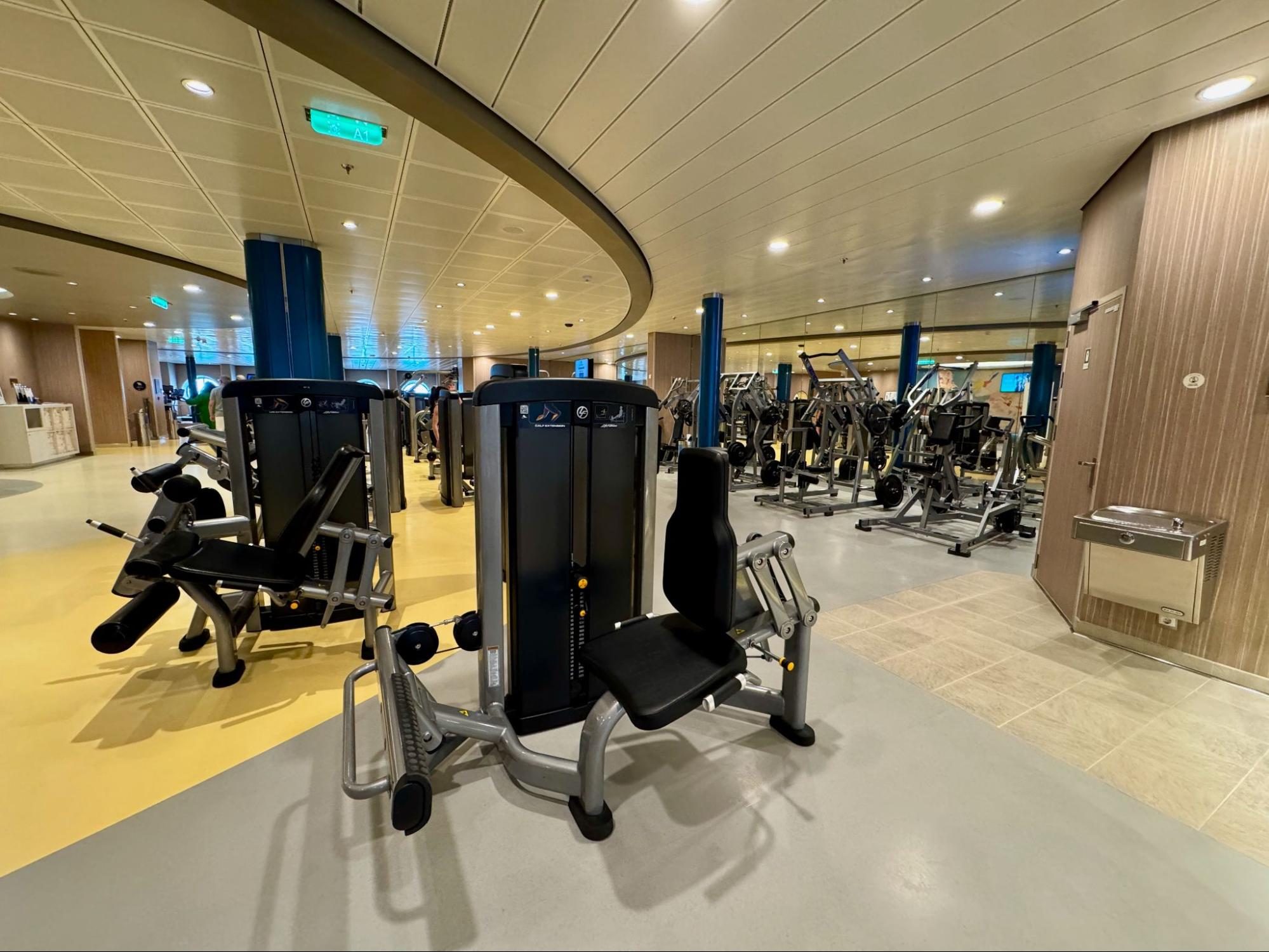 Fitness, Sport, Working Out