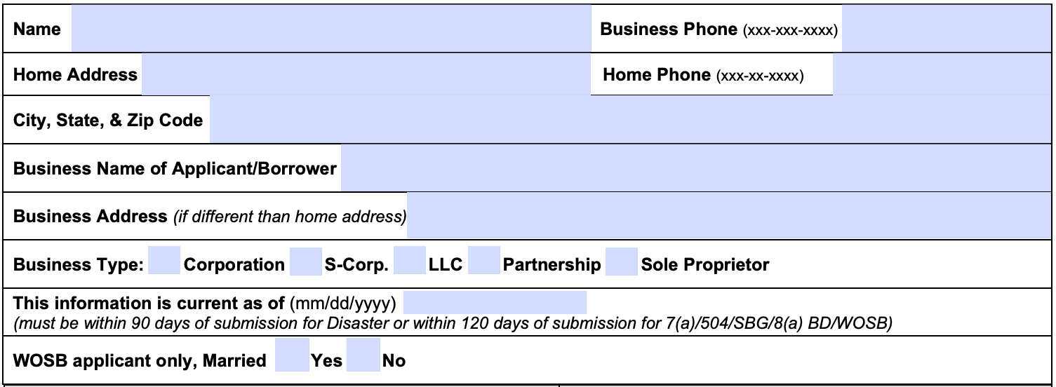 sba form 413, business and personal information fields