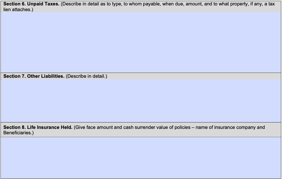 sba form 413, sections 6 through 8