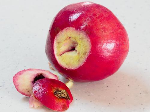 cutting down the bottom most part to make pomegranate juice