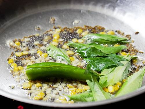 adding curry leaves ginger chilli to oil