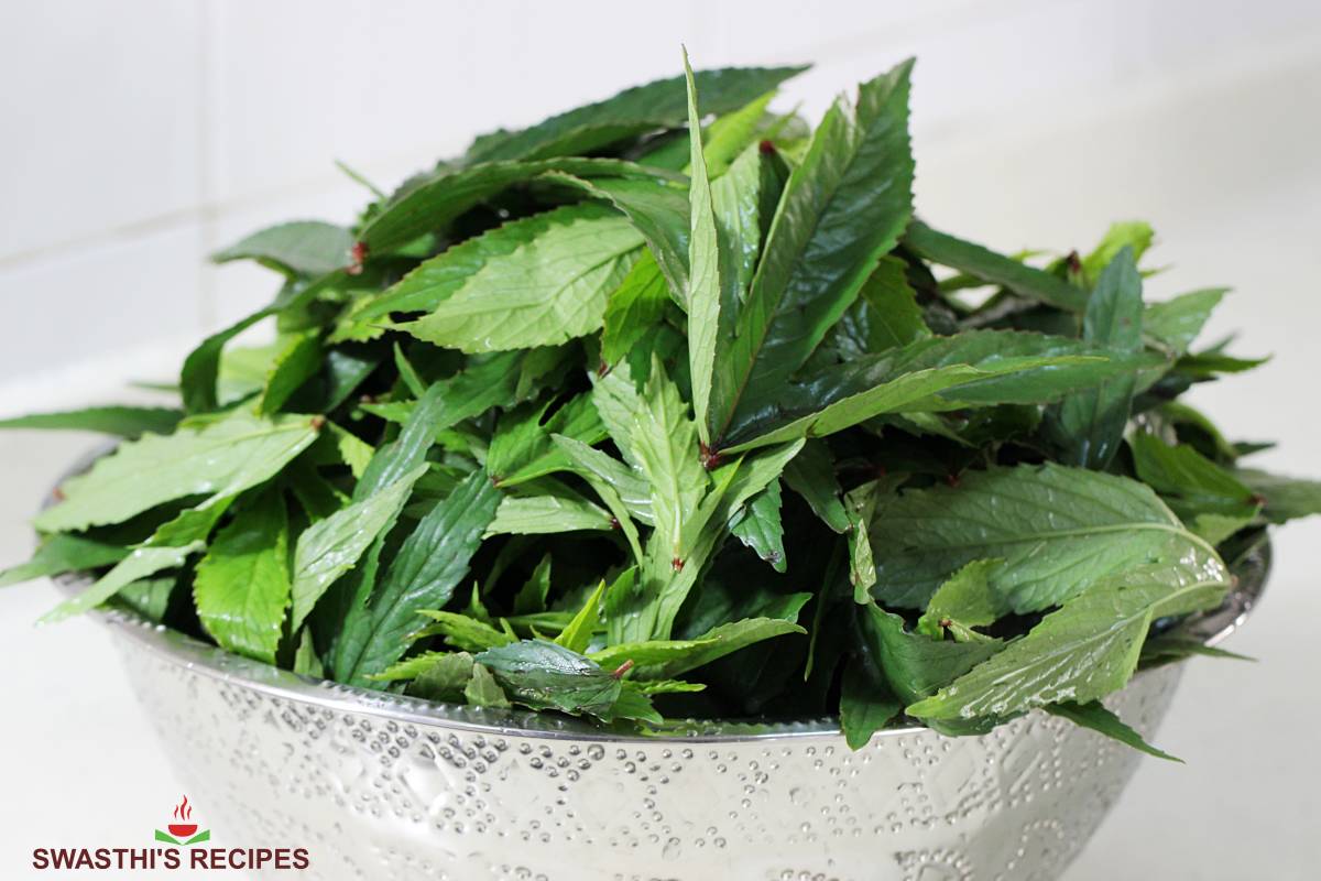 Gongura Leaves