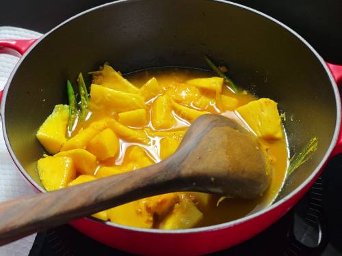 adjusting turmeric