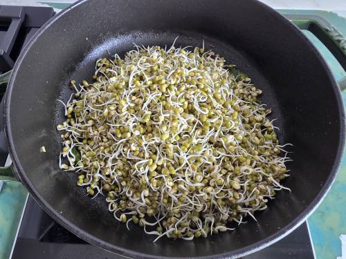 add sprouts